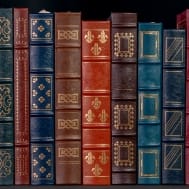 Row of books on a shelf